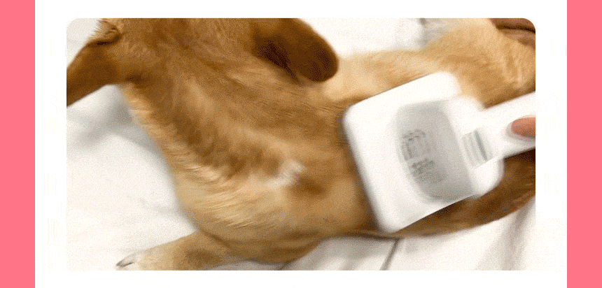 7d7891ddd445109470625c7501fa959b_1772526938_3145.gif